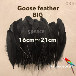 オーストリッチ　フェザー　羽　6本　鳥の羽　オーストリッチフェザー　ウェディング オーストリッチ27枚】15-19cm27色 ダチョウ フェザー 羽 鳥の