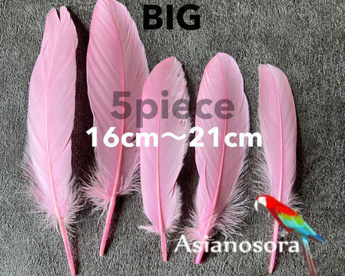 フライフィッシング用羽根素材 羽根のエキスパートHANEYA(ハネヤ) フライマテリアルを製造・販売して