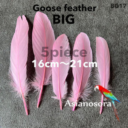 GB17ピンク】ガチョウ 羽根 大 5枚 フェザー 鳥の羽根 素材 羽 その他