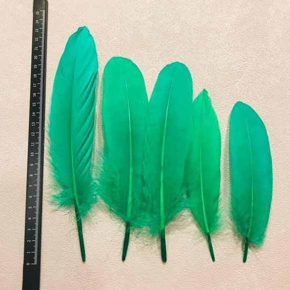 【GB9緑】ガチョウ 羽根 大 5枚 鳥の羽根 フェザー 素材 羽 DIY 2枚目の画像