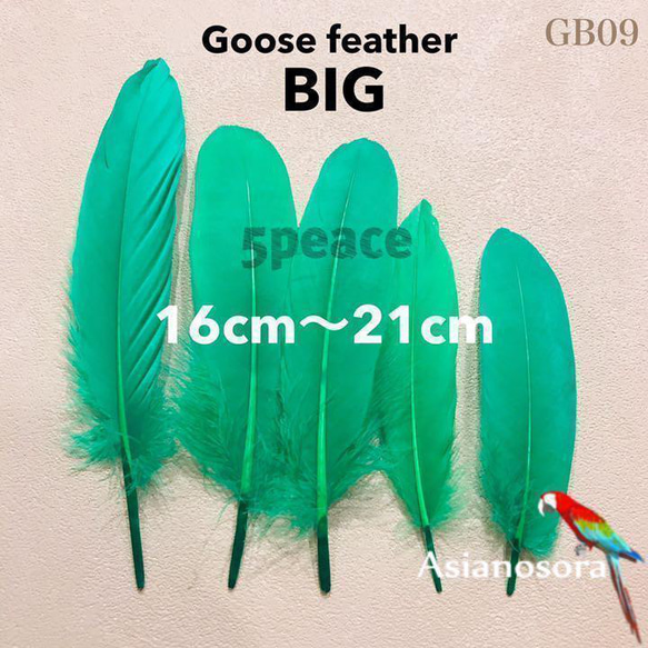【GB9緑】ガチョウ 羽根 大 5枚 鳥の羽根 フェザー 素材 羽 DIY 1枚目の画像