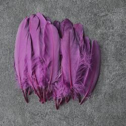 【GB19紫】ガチョウ 羽根 大 5枚 フェザー 鳥の羽根 素材 羽 2枚目の画像