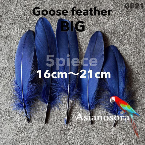 GB21ネイビー】ガチョウ 羽根 大 5枚 フェザー 鳥の羽根 素材 羽