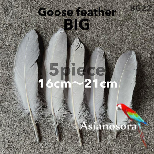 GB22グレー】ガチョウ 羽根 大 5枚 フェザー 鳥の羽根 素材 羽 その他 