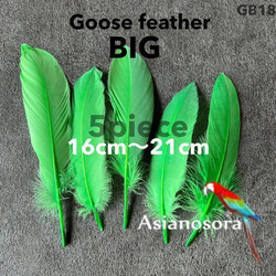 GB18黄緑】ガチョウ 羽根 大 5枚 フェザー 鳥の羽根 素材 羽