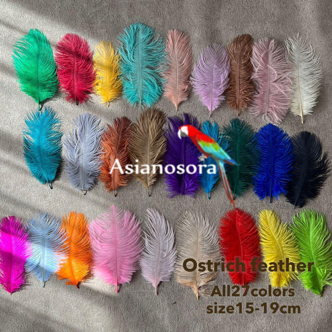 あやめ☆オーストリッチ 羽毛 あやめ☆オーストリッチ 羽毛 あやめ