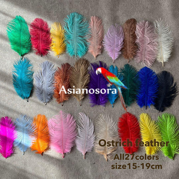 ❤️【オーストリッチ27枚】❤️15-19cm27色 ダチョウ フェザー 羽 鳥