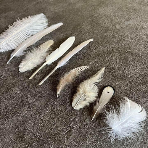 ホワイトセット】白 フェザー 鳥の羽根 キジ 羽 鳥 オーストリッチ
