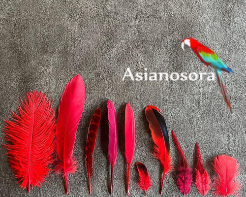 6428c974879b20cba53e1b9bf56242