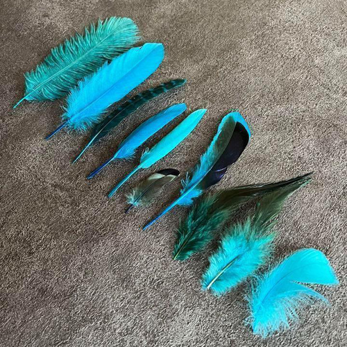 ❤️【ブルーセット】❤️青 フェザー 鳥の羽根 キジ 羽 鳥