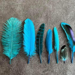 ❤️【ブルーセット】❤️青 フェザー 鳥の羽根 キジ 羽 鳥 オーストリッチ ガチョウ 4枚目の画像