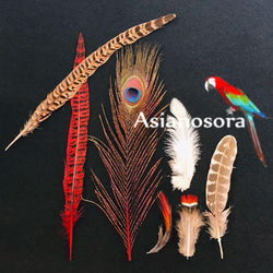 色んな羽根】赤セット 孔雀 キジ 鳥 羽根 フェザー パーツ スワッグ