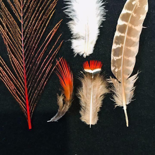 色んな羽根】赤セット 孔雀 キジ 鳥 羽根 フェザー パーツ スワッグ