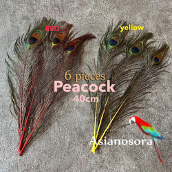 1fa63339816cd498c509a46786df36