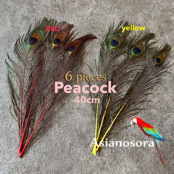 ❤️【孔雀 赤黄色セット】❤️6枚 ❤️クジャク ピーコック 羽根 鳥の