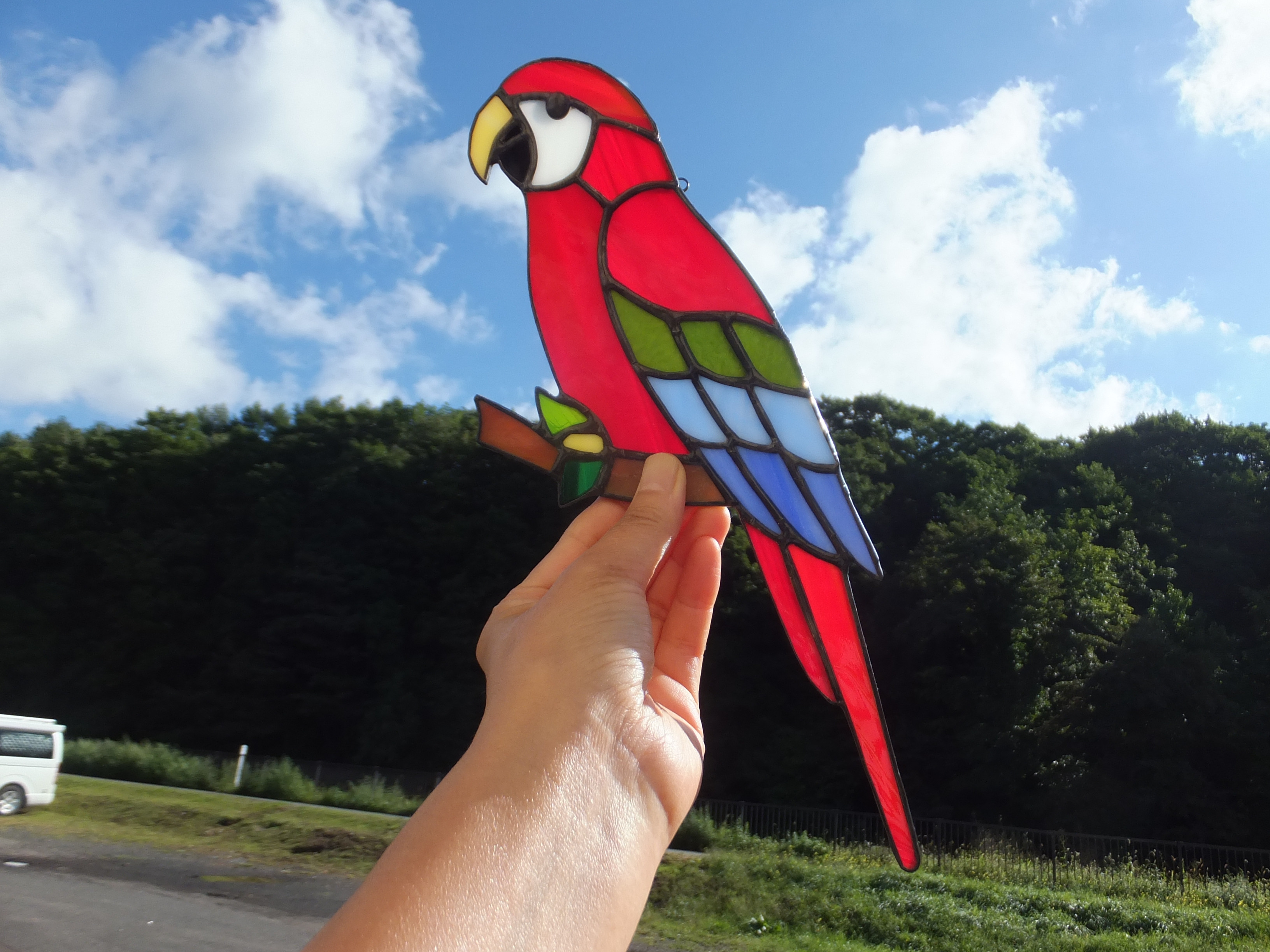 ステンドグラス ベニコンゴウインコ サンキャッチャー 【鳥 小鳥