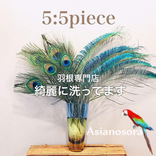 100枚■【クジャク 】孔雀の羽根 目玉 パーツ 鳥 羽根 素材 ❤️【クジャク 5:5】❤️孔雀 羽根 剣 目玉 パーツ 鳥の羽根