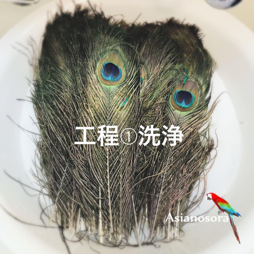 ❤️【クジャク 5:5】❤️孔雀 羽根 剣 目玉 パーツ 鳥の羽根