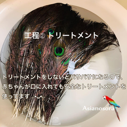 ❤️【クジャク 5:5】❤️孔雀 羽根 剣 目玉 パーツ 鳥の羽根