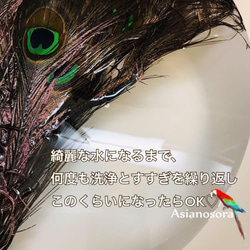 ❤️【クジャク3セット】❤️白 孔雀の羽　 剣  目玉  鳥の羽根 7枚目の画像