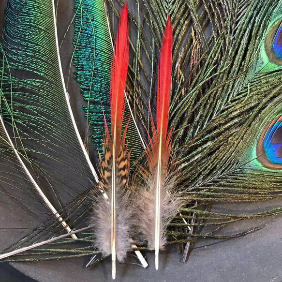 【色んな羽根2】フェザー 鳥 羽 クジャク 孔雀 キジ スワッグ ドライフラワー 3枚目の画像