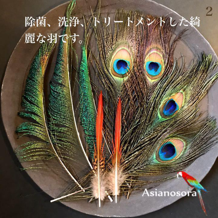 お取り寄せ】 薔薇と孔雀】絵画 アンティーク クジャク 羽根