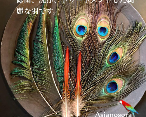 c9553a1a309c84ea581b4949df700d
