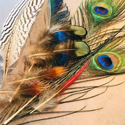 【色んな羽根8】フェザー 羽  孔雀 インテリア キジ スワッグ ドライフラワー 3枚目の画像