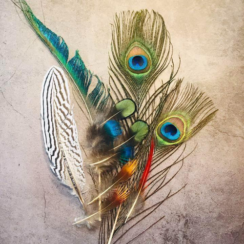 色んな羽根8】フェザー 羽 孔雀 インテリア キジ スワッグ ドライ