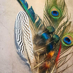 【色んな羽根8】フェザー 羽  孔雀 インテリア キジ スワッグ ドライフラワー 4枚目の画像