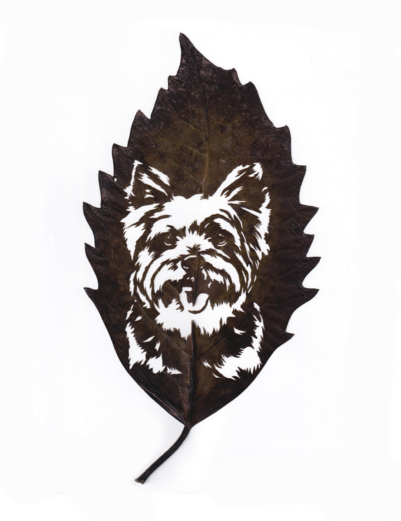 【オーダー】葉っぱの切り絵／大好きなペット（額付） 葉っぱ