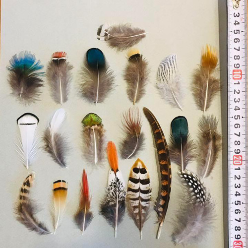 ❤️【色んな羽根15】❤️20種類 羽根 羽 フェザー 装飾 インテリア