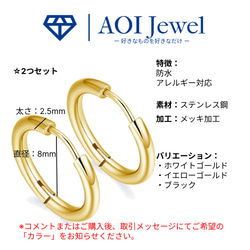 AOI Jewel フープピアス メンズ レディース シンプル ファッション アクセサリー プレゼント ギフト 両耳ペア 10枚目の画像