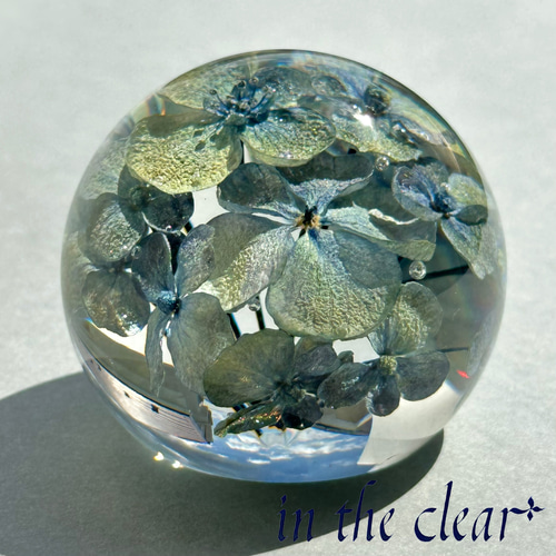 植物標本 紫陽花 くすみ系水色 レジン 5センチ球体 ハー