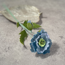 布花飾れるブルーポピーの花一輪 9枚目の画像