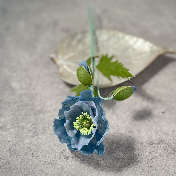 布花飾れるブルーポピーの花一輪 10枚目の画像