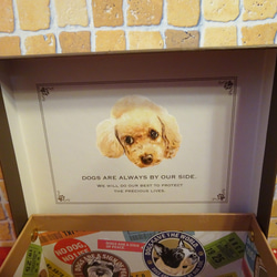 犬のイラスト貼り箱に犬の形のクッキー６袋詰め合わせ♪(*^▽^*) 10枚目の画像