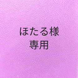 ほたる様専用 1枚目の画像