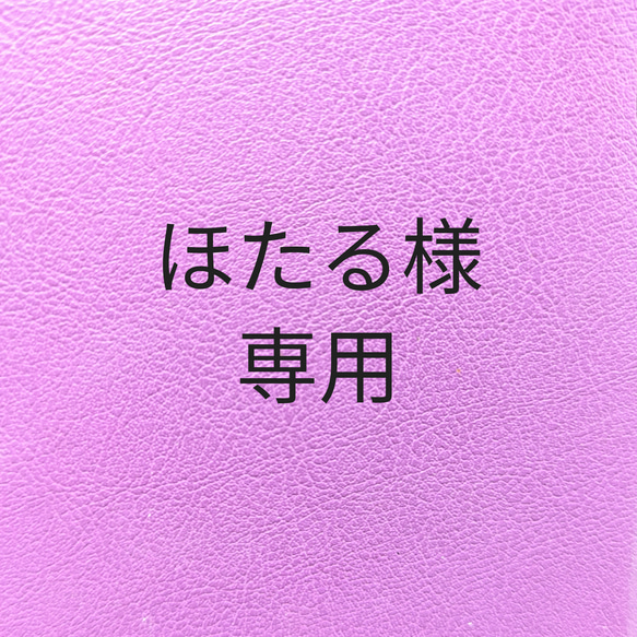 ほたる様専用 1枚目の画像