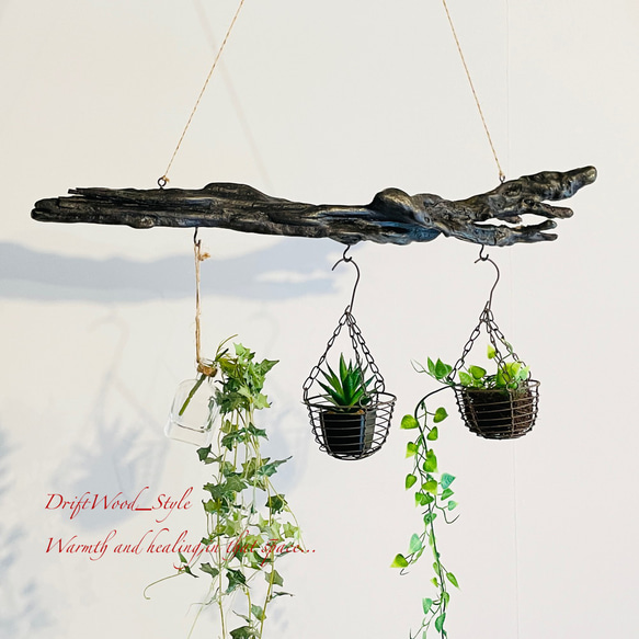 流木インテリア 黒く味のある造形の天然流木のハンガーラック 北欧 衣装掛け ハンギング 吊り下げ エアプラント 3枚目の画像