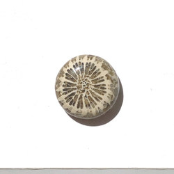 フォッシルコーラル[209] 13mm 7Cts　天然石 ／ ルース ／カボション 1枚目の画像