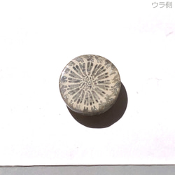 フォッシルコーラル[209] 13mm 7Cts　天然石 ／ ルース ／カボション 2枚目の画像