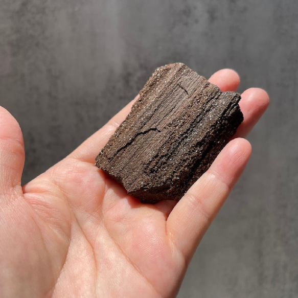 珪化木【クォーツ オン ペトリファイドウッド】（54.3g）鉱物 天然石 石化した樹木 3枚目の画像