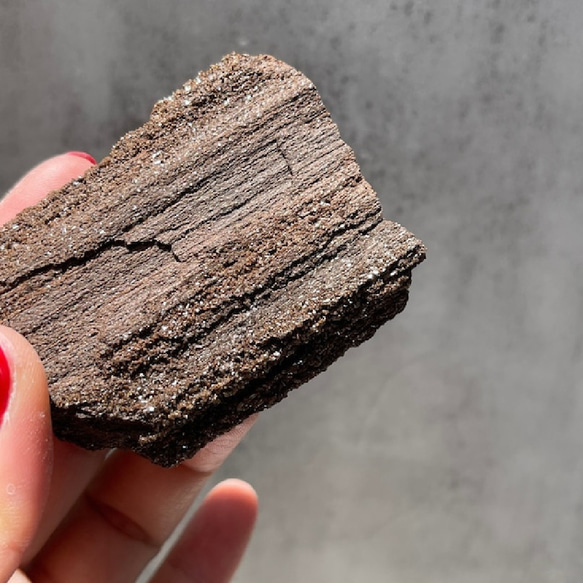 珪化木【クォーツ オン ペトリファイドウッド】（54.3g）鉱物 天然石 石化した樹木 2枚目の画像