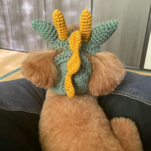 ☆新品アプリ工房　小型犬服＆帽子☆apri cobo オーダーメイド　トイプー ☆新品アプリ工房小型犬服＆帽子☆apri cobo オーダーメイドトイプー