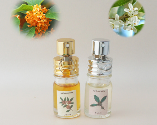 37dab7ea80862902f3cc8ea5dfe766