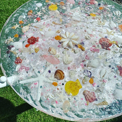 テスカトルシェル　シークレット　フルアート シェルの楽園2 ホワイトwhite shell 貝殻アート ガラスサイド