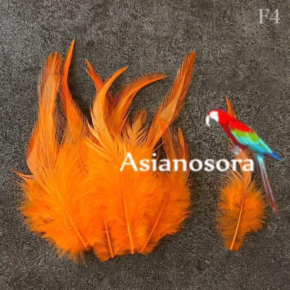 送料無料【F4オレンジ】高品質 羽根 フェザー ハンドメイド 素材 鳥 パーツ　鳥の羽根 1枚目の画像