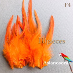 送料無料【F4オレンジ】高品質 羽根 フェザー ハンドメイド 素材 鳥 パーツ　鳥の羽根 4枚目の画像