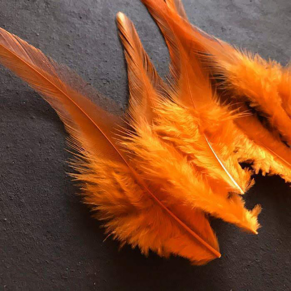 送料無料【F4オレンジ】高品質 羽根 フェザー ハンドメイド 素材 鳥 パーツ　鳥の羽根 2枚目の画像